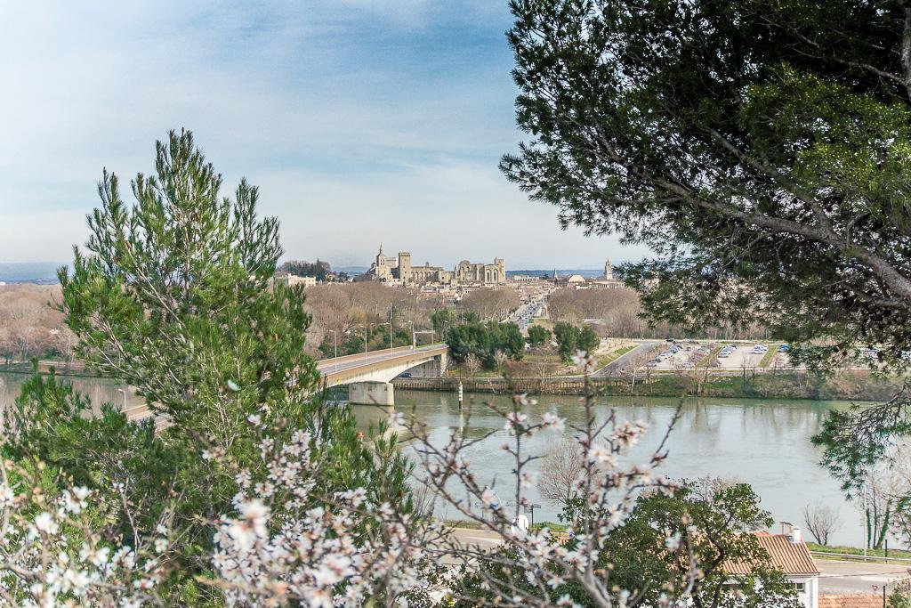 Ymca Villeneuve Les Avignon Villeneuve-les-Avignon Bagian luar foto
